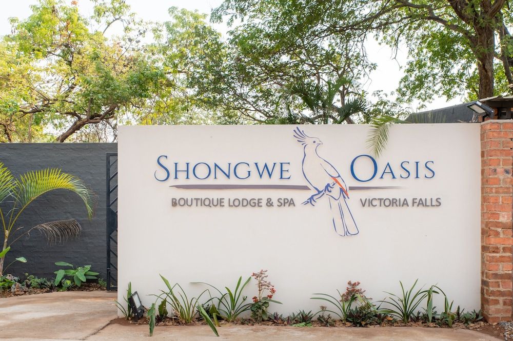 undefined Shongwe Oasis 9