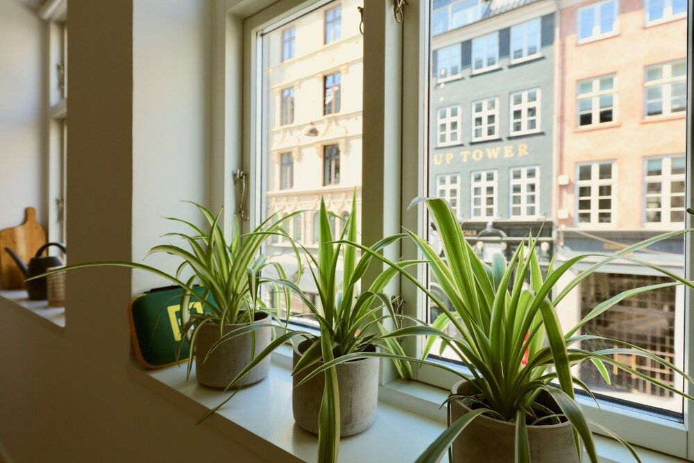 Dinesen Collection Two-Story Condos by Nyhavn Harbour Deluxe Penthouse, 3 Bedrooms 21