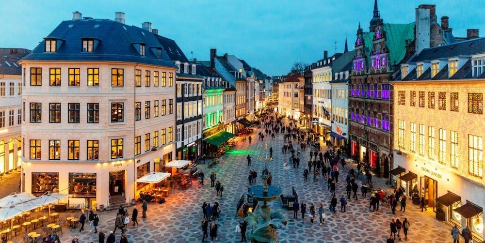 101sqm apt Heart of Copenhagen 100m to the Metro Apartment 19