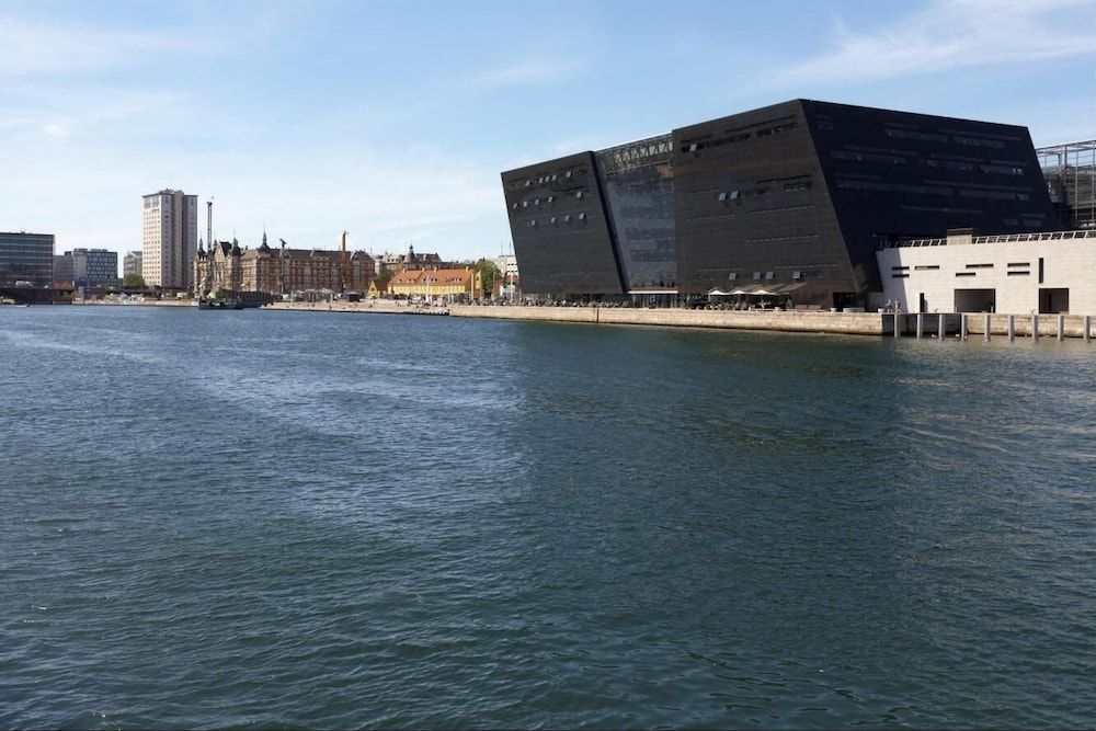 101sqm apt Heart of Copenhagen 100m to the Metro Apartment 37