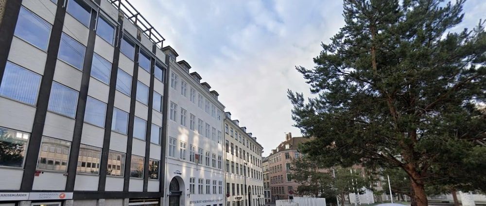 220sqm Designer Apt-balcony Heart of Copenhagen Apartment 50