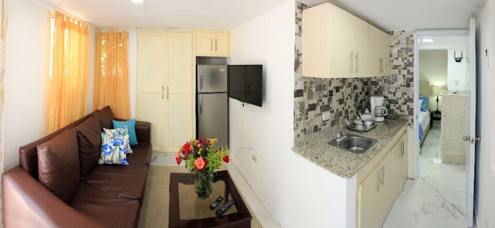 Apartment, 1 Bedroom, Smoking, City View