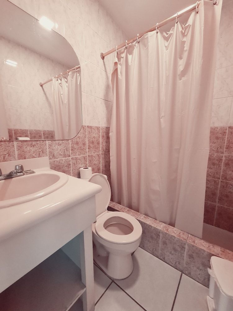 Hotel Chat Noir Cuenca Standard Quadruple Room 8