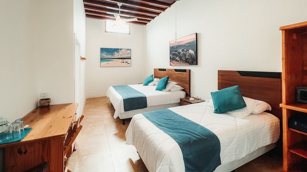 Hotel Albemarle Superior Room, Pool View