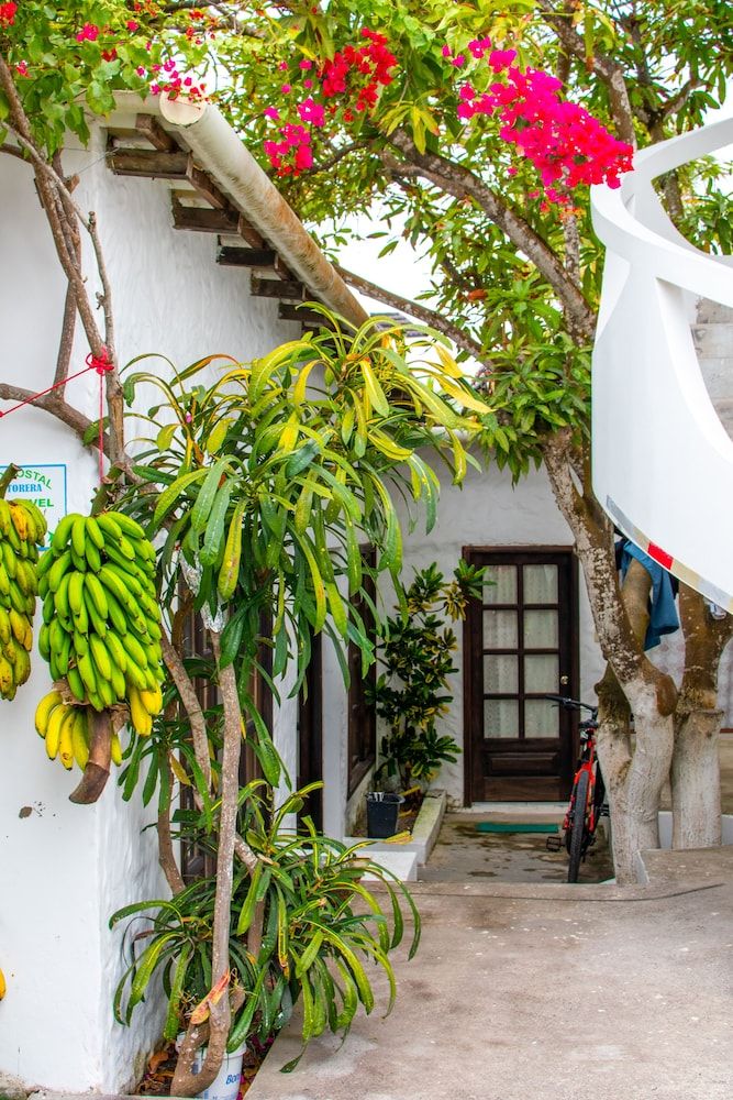 Gran Hostal Tintorera Twin Room 4