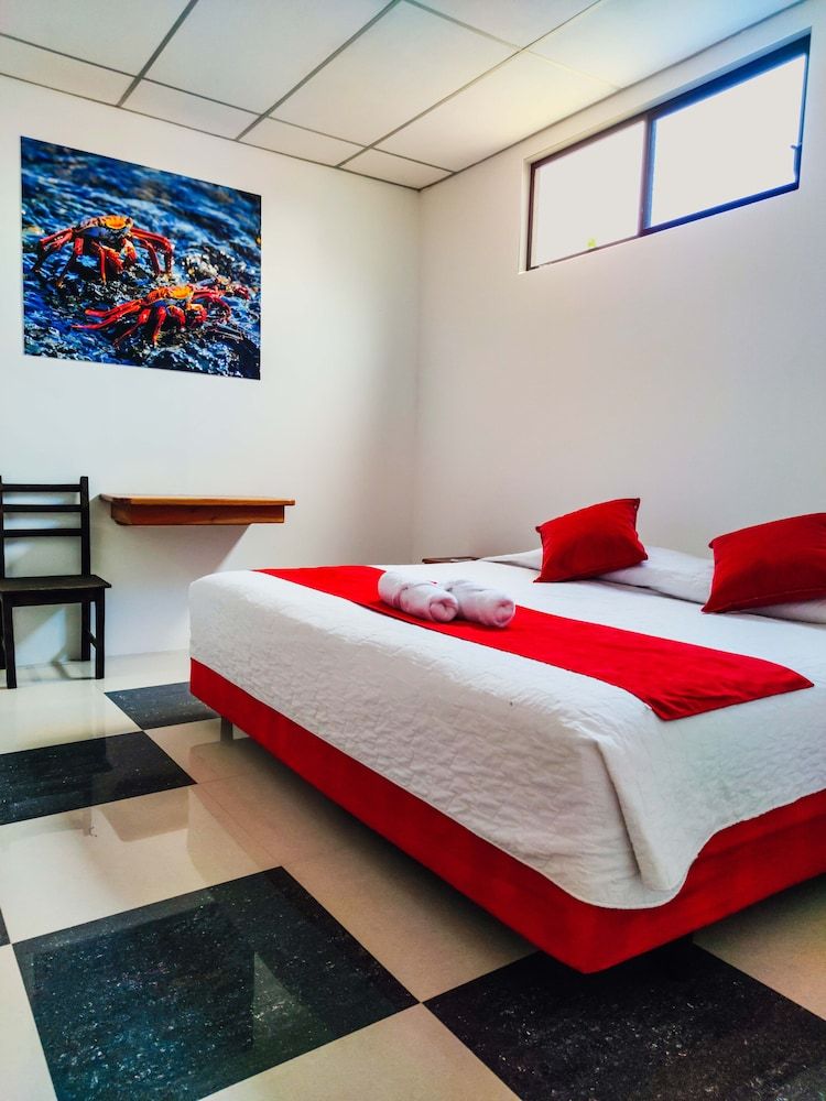 Gran Hostal Tintorera Double Room, 1 Queen Bed 2