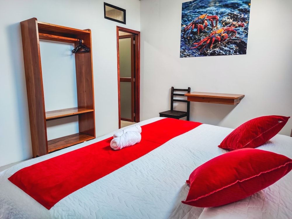 Gran Hostal Tintorera Double Room, 1 Queen Bed 3