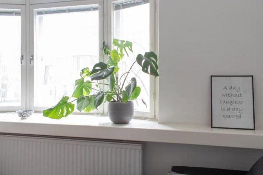 undefined WeHost Malminkatu 38 2