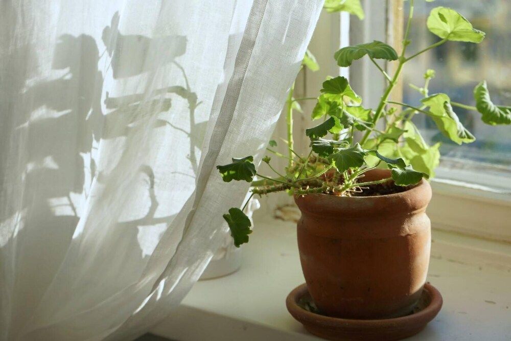 Cosy Quiet Apartment Close to the Sea and Parks Apartment 4