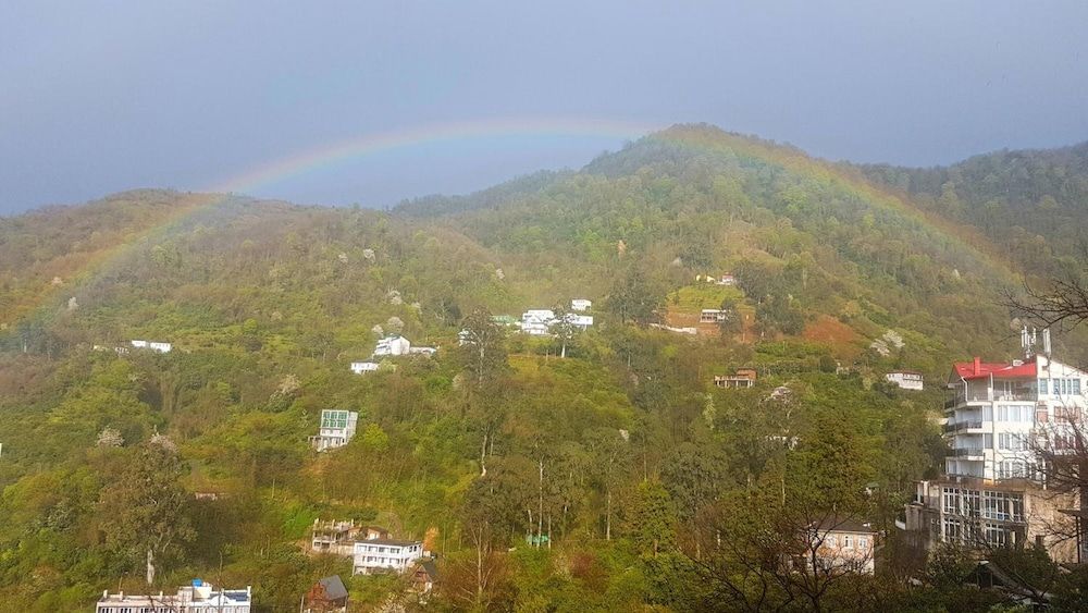 undefined Calypso Kvariati Inn 8