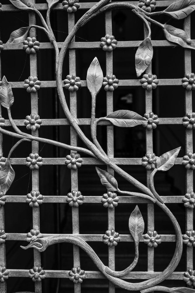 undefined Emigrant 10