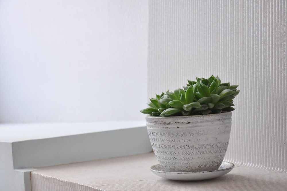 Guest House Lile Double Room, Shared Bathroom 4