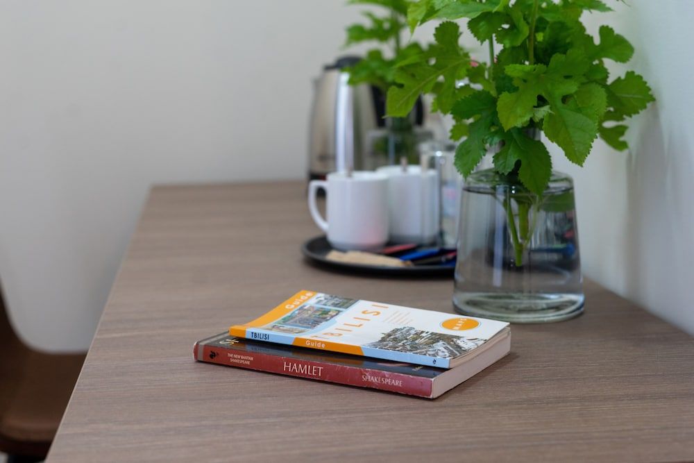 Silent Hill Hotel Standard Twin Room 12