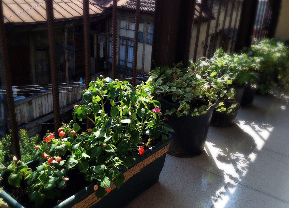 undefined Hotel Vazi 2