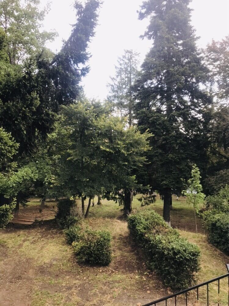 The Vorontsovs - Hotel & Cottages Standard Double or Twin Room 3