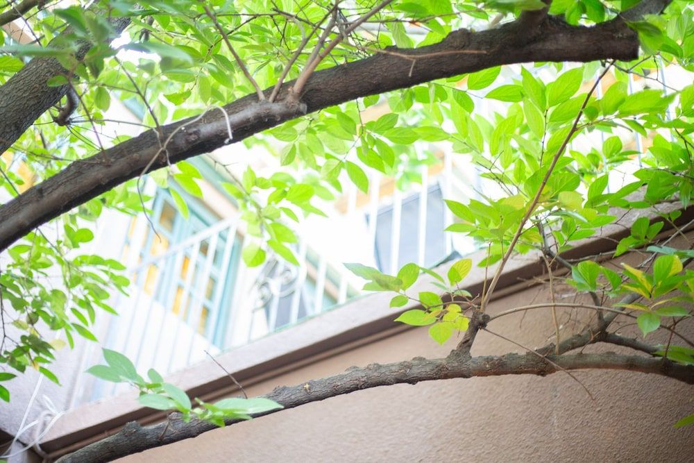 undefined Veranda House on Samreklo 25 5