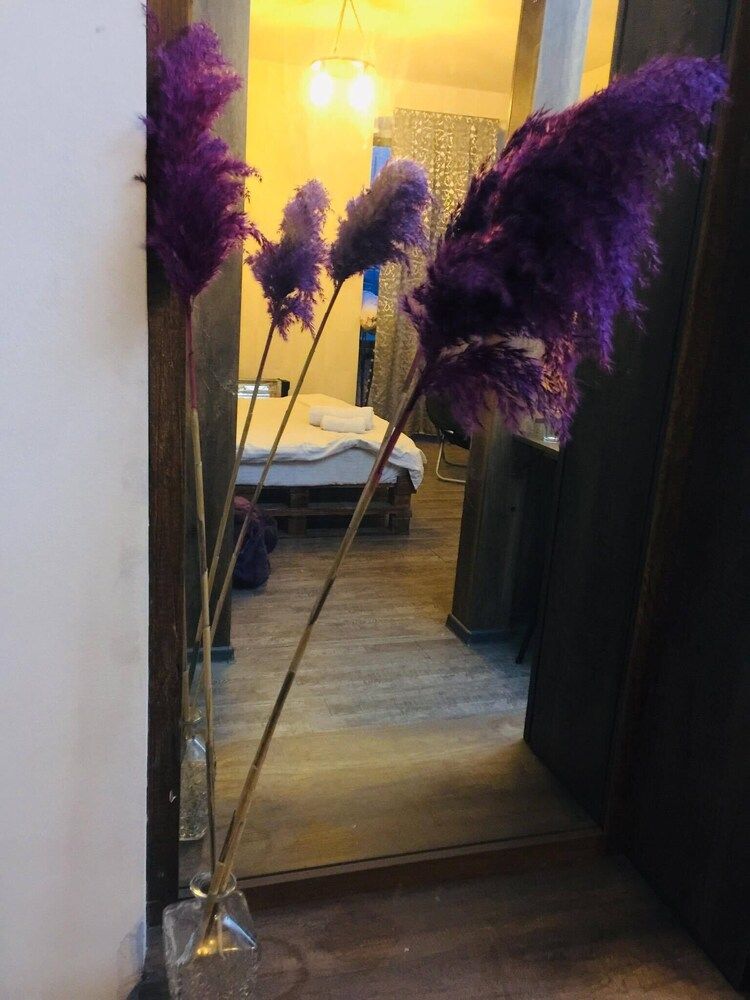 Apartment near Dry Bridge Deluxe Studio Suite 10