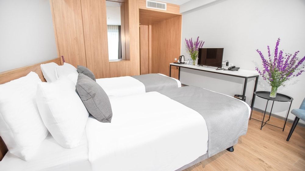 Hotel Memoir Kazbegi Twin Room 3