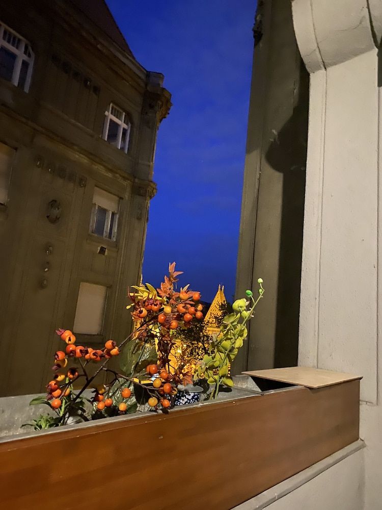 undefined Butterfly Home Danube 9