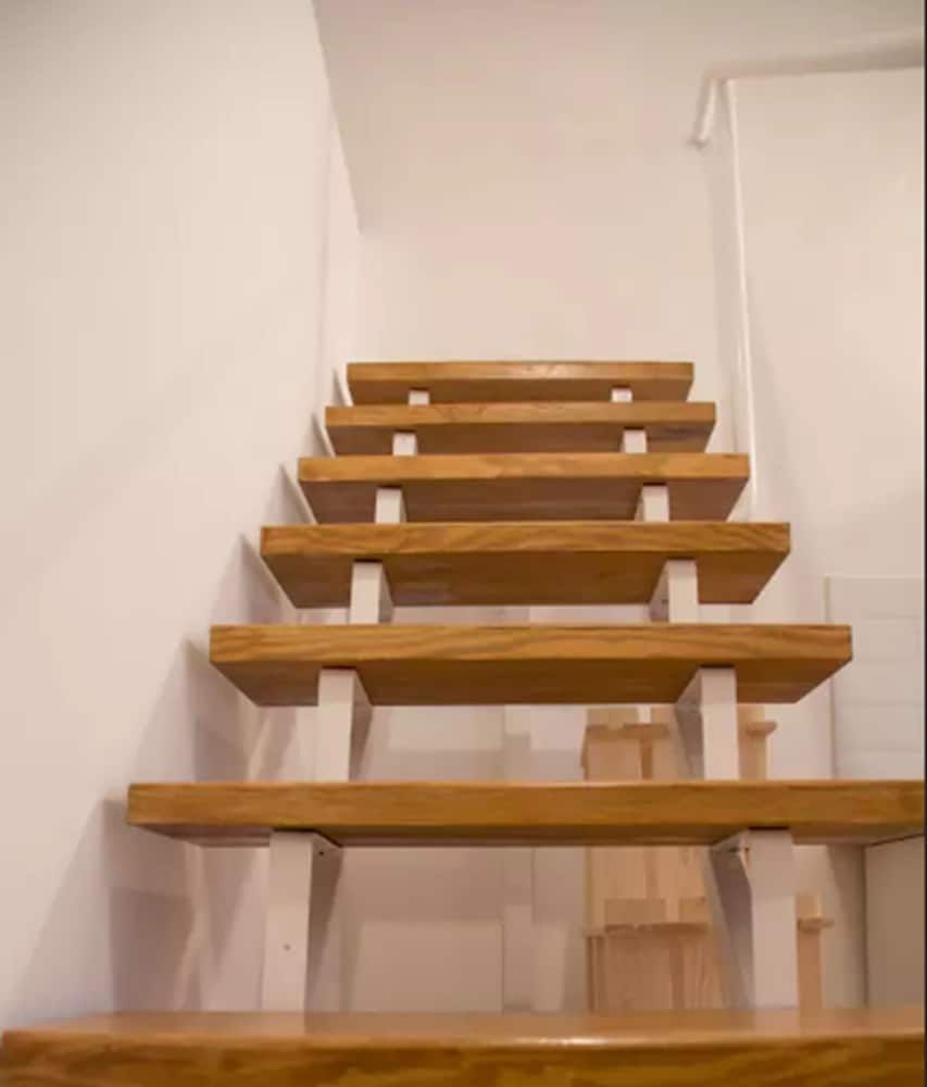 undefined Incredible Ernesto I 3