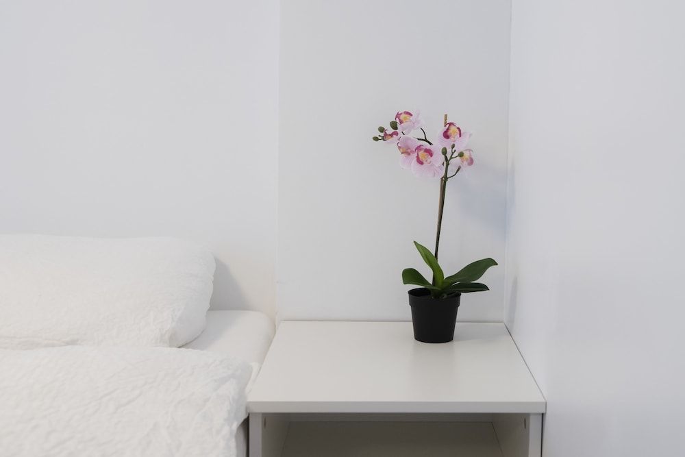 Media Luna Guesthouse Family Quadruple Room, Private Bathroom 12