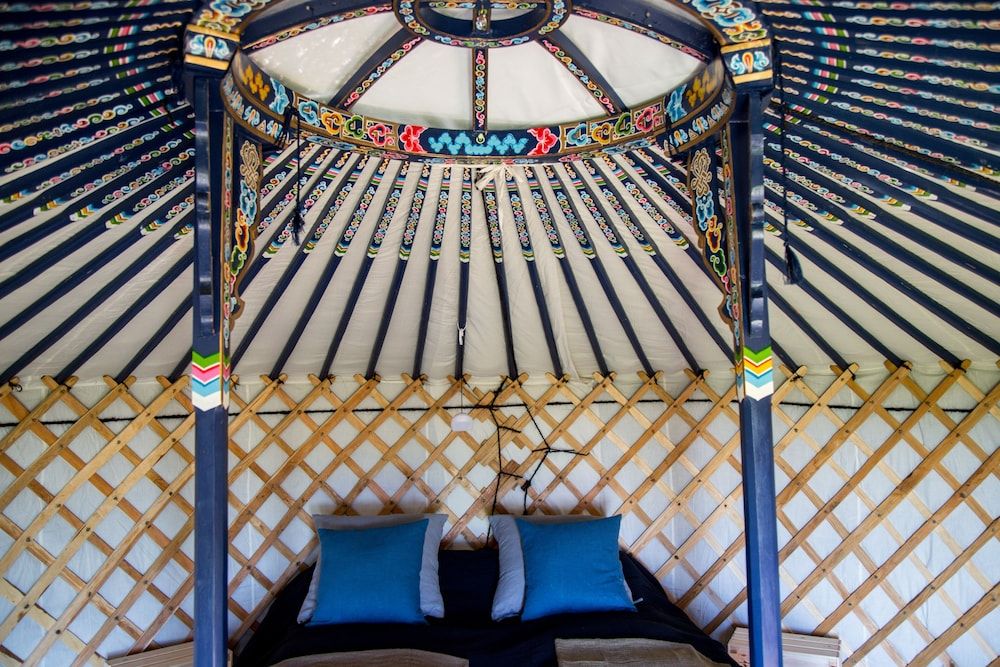 Yurt Complete Experience incl. Half-Board and a Tour