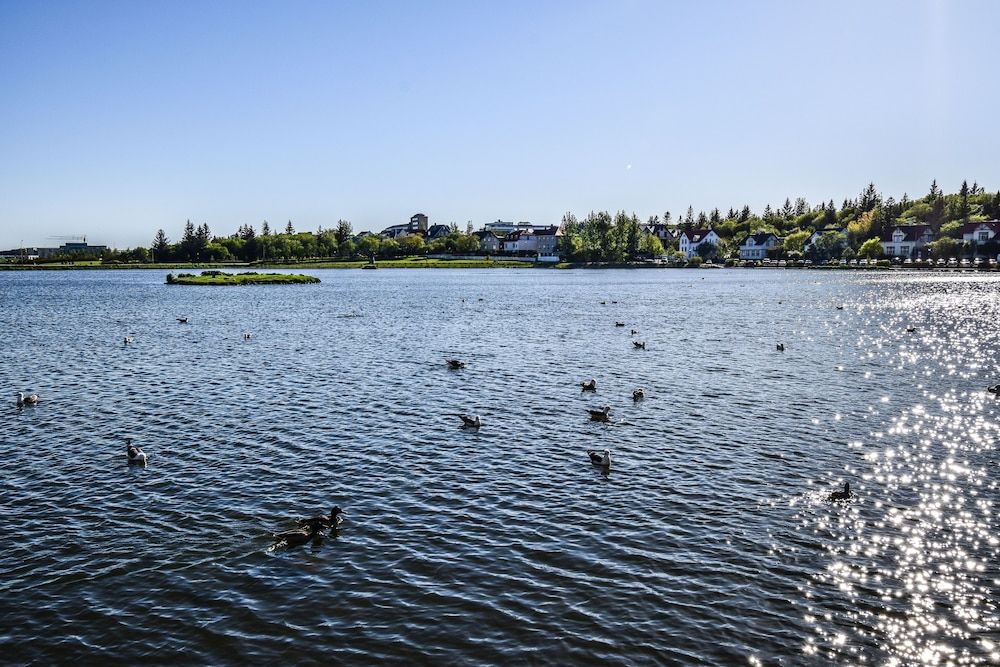 undefined Apartment T10c 4