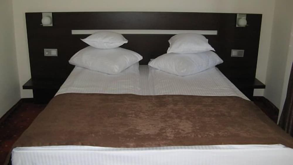 Hotel Premier Double Room