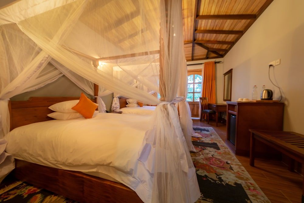 Chimpundu Lodge Deluxe Twin Room 2