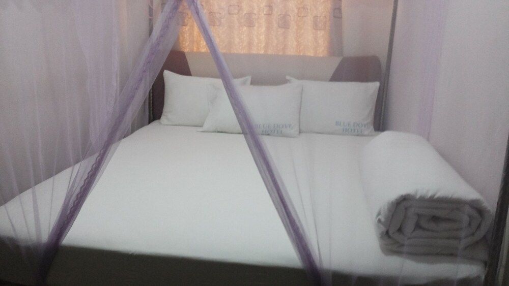 Blue Dove Hotel Arua Executive Double Room 4