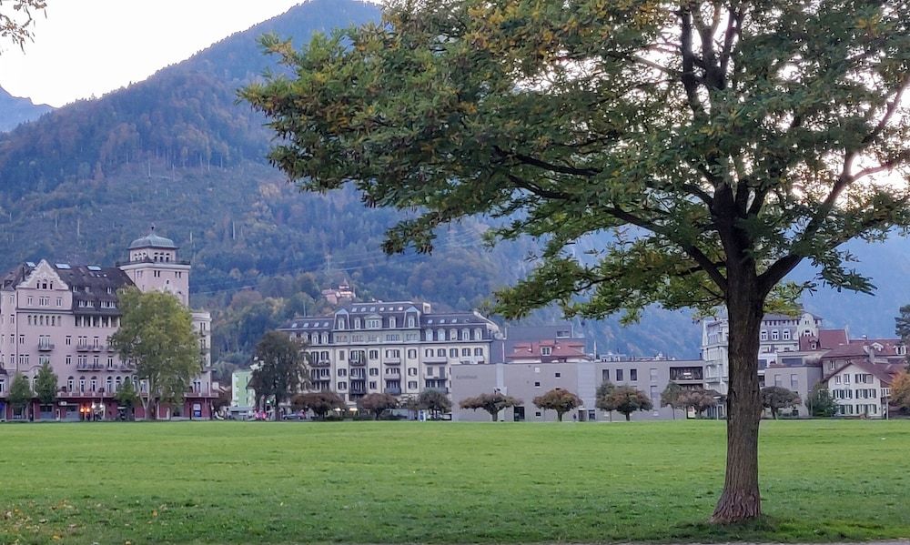 undefined Swiss Interlaken Apartment 3