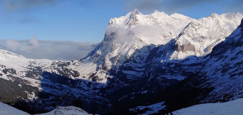 undefined Swiss Interlaken Apartment 5