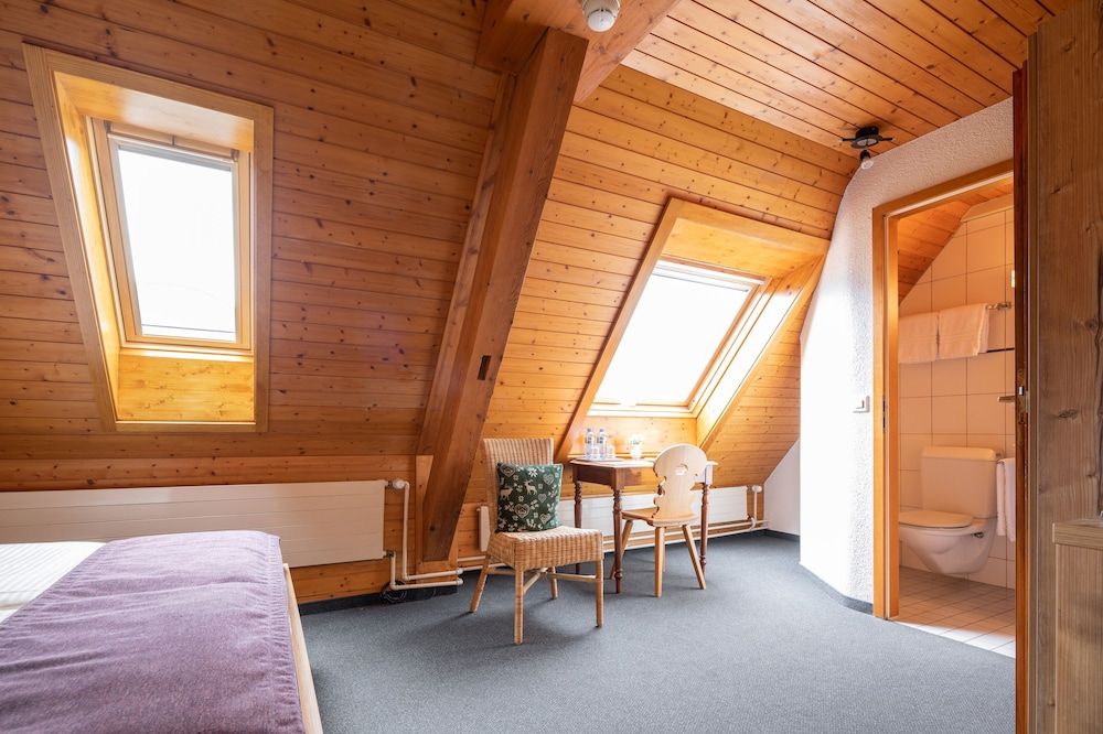 Hotel Lötschberg Double Room (Attic) 3