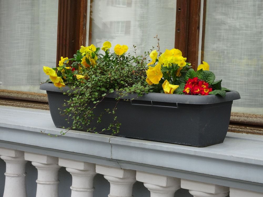 undefined Hotel Lötschberg 2