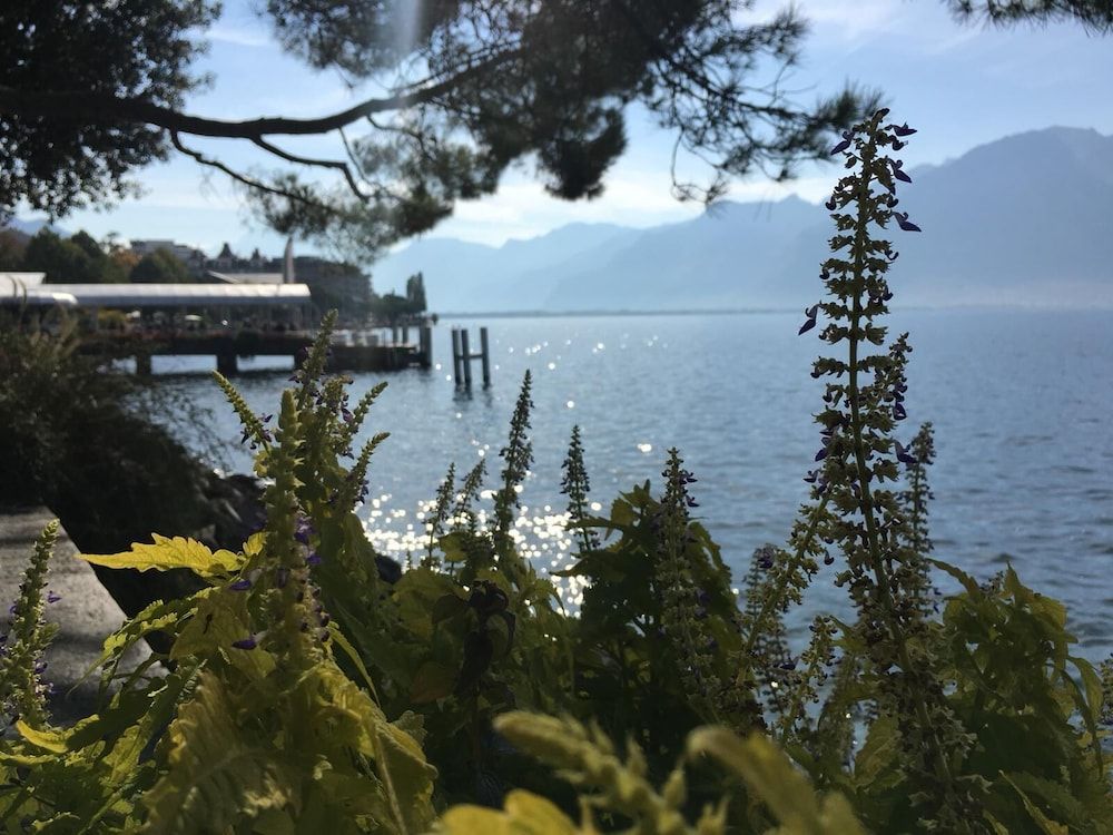 citycentre lake view apartment City Apartment 14