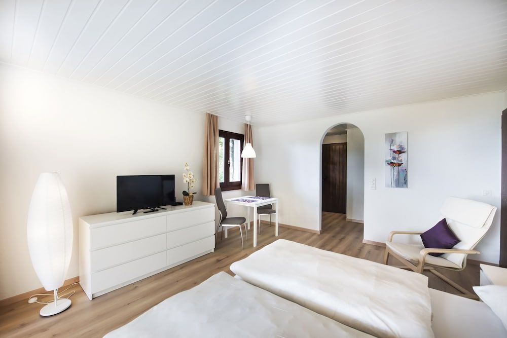 Centro Cadro Panoramica Basic Condo 5