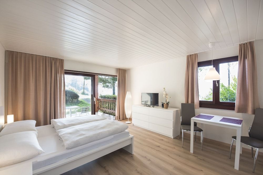 Centro Cadro Panoramica Basic Condo