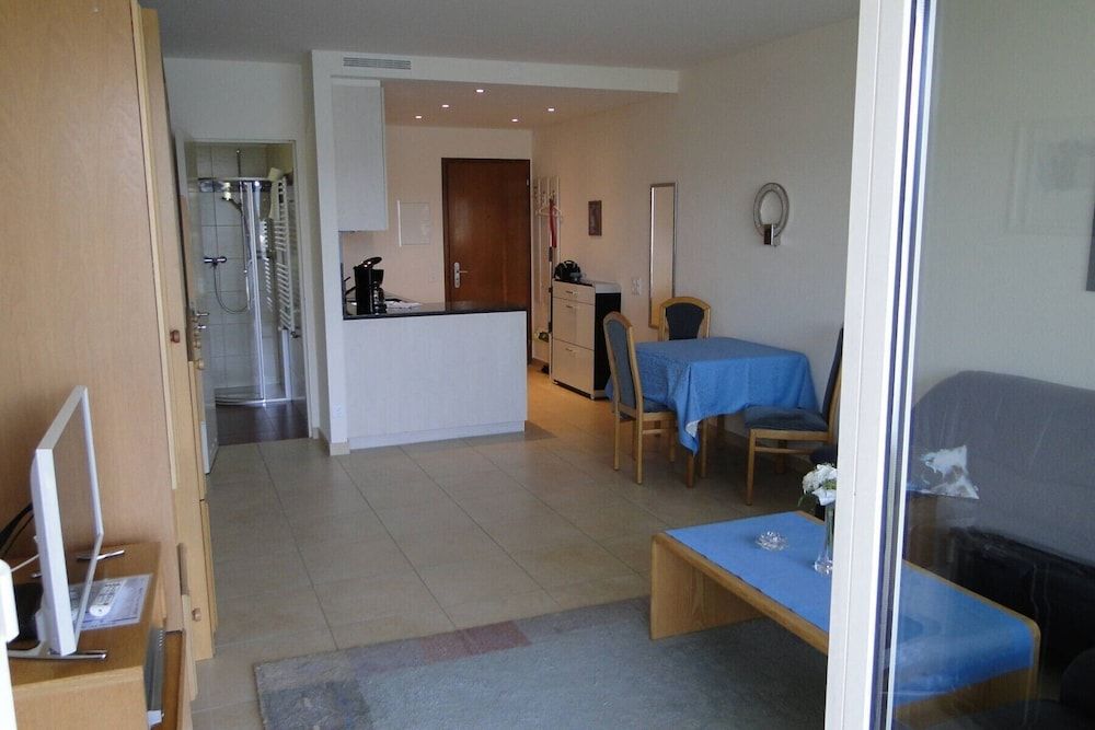 Lugano With Panorama Apartment, 1 Bedroom, Terrace, Mountain View 6