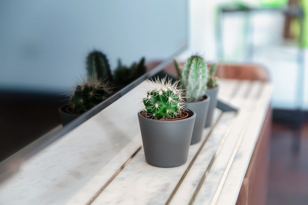 undefined Luce di Lago