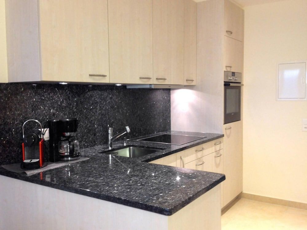 undefined Lugano With Panorama From Castagnola Condo 10