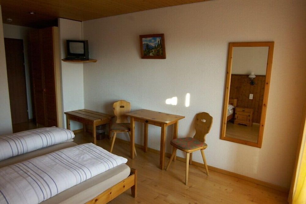 Standard Double or Twin Room, Mountain View