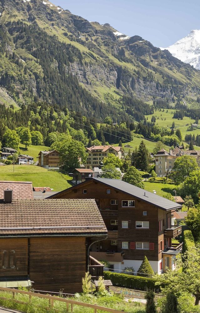 Haus Bel Air Family Apartment, 2 Bedrooms, Mountain View 27