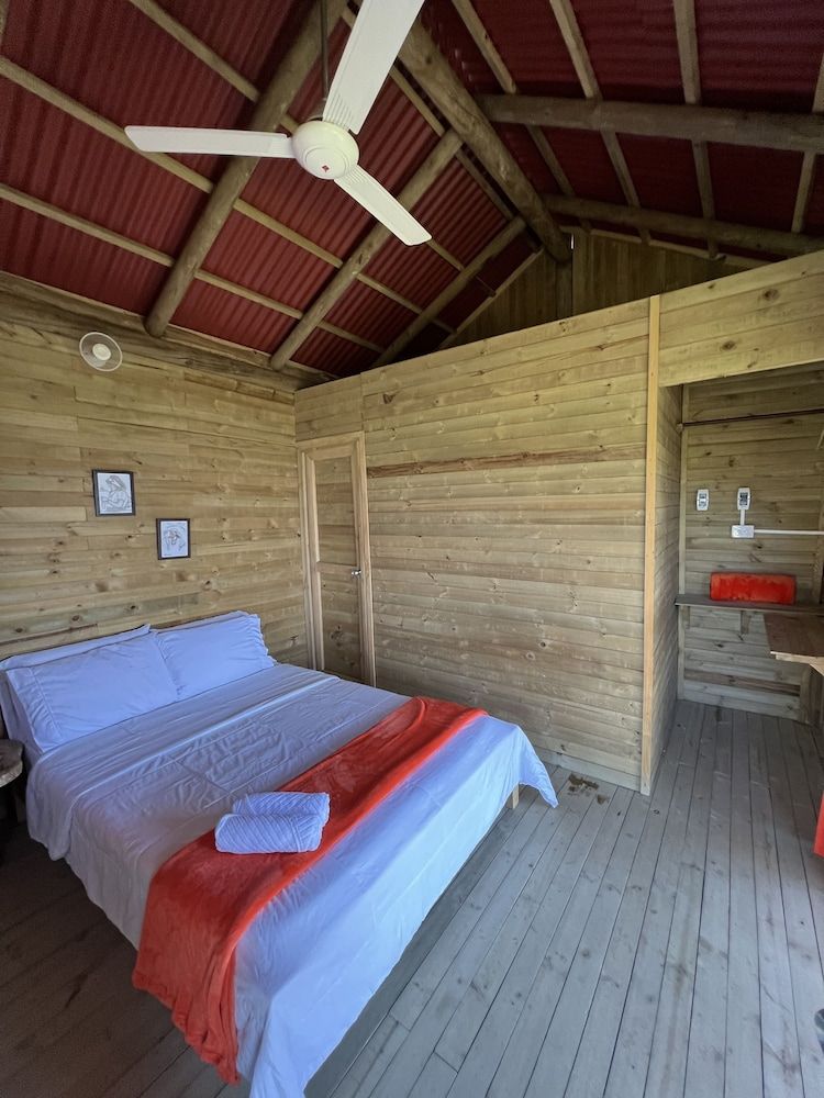 Premium Cabin