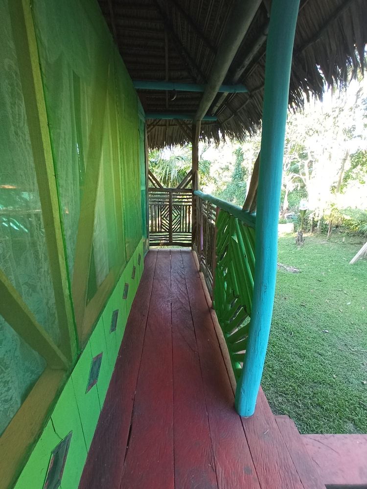 Hostal Búho Amazonas Tours - Hostel Traditional Double Room, 1 Bedroom, Courtyard View, Courtyard Area 4