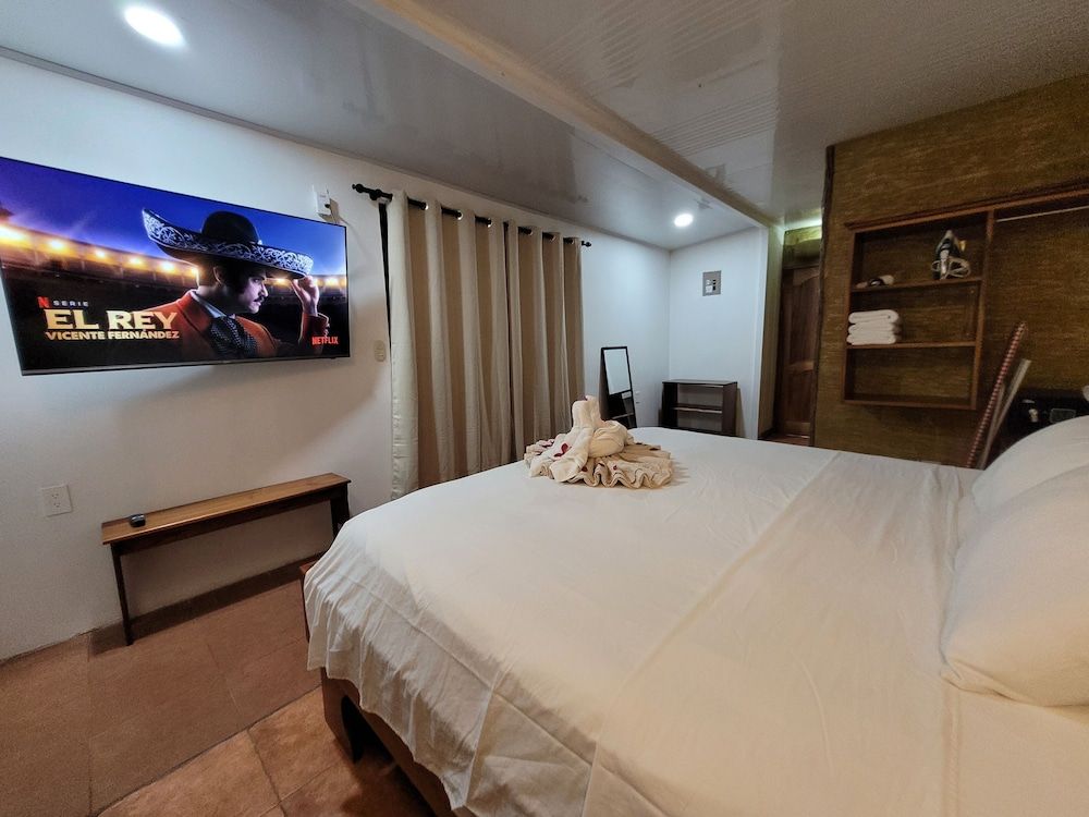 undefined Arenal Homes La Fortuna 9