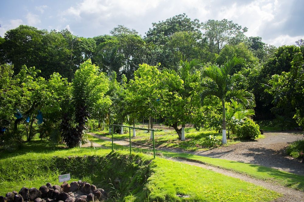 undefined Arenal Descanso 8