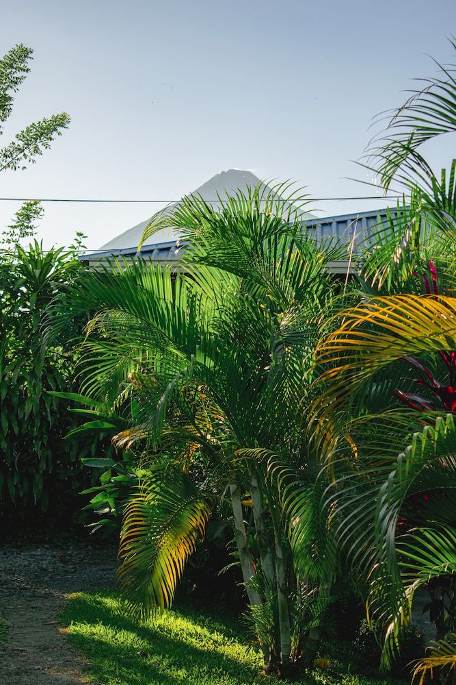 Land View from Property