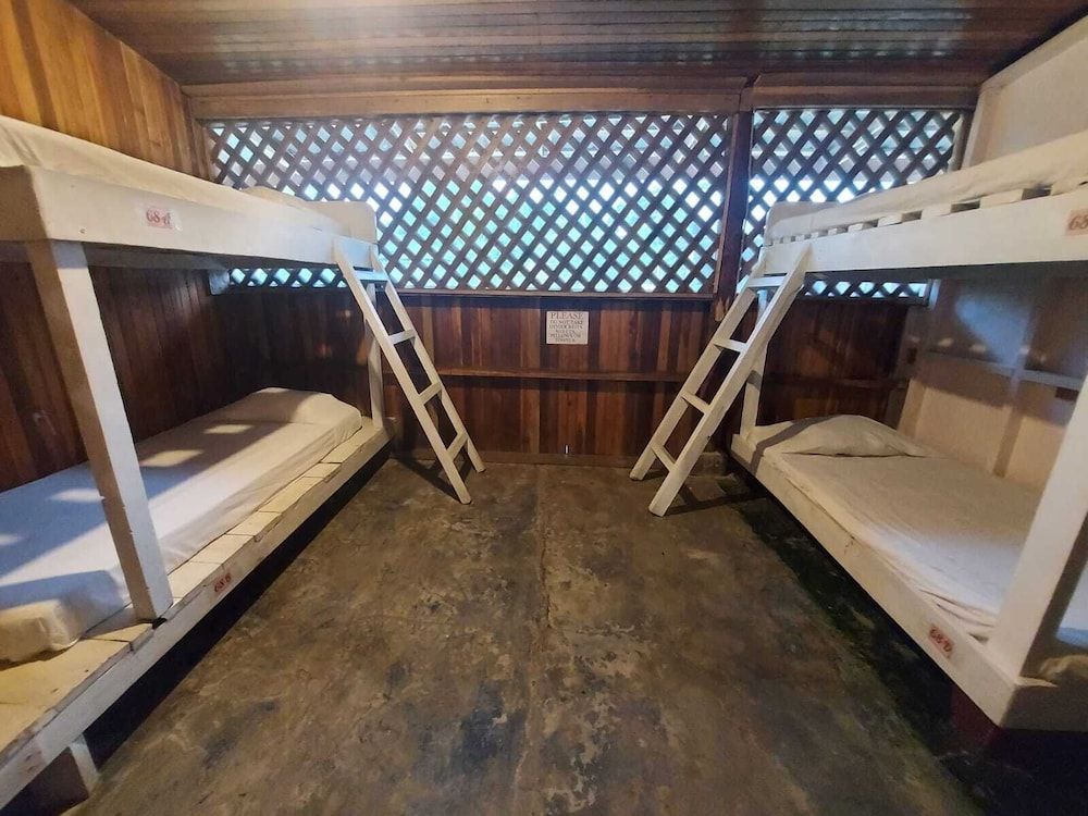 Shared Room 4 Single Beds - Shared Bathroom