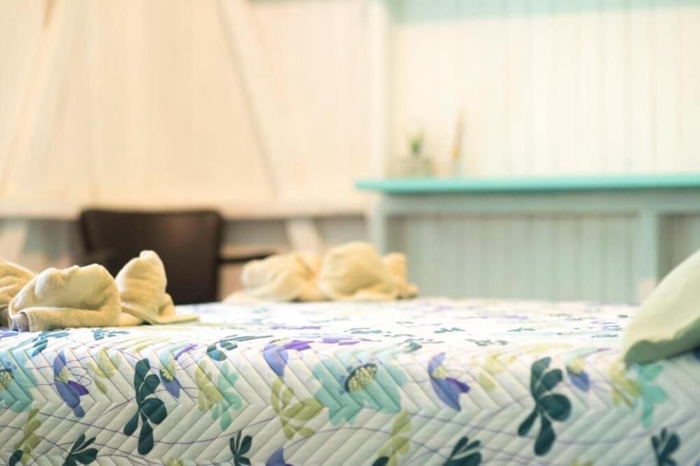 Basic Double Room