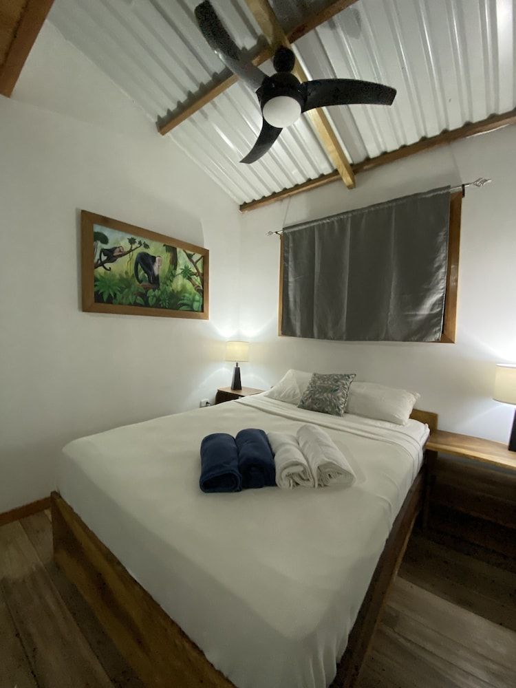 Green Macaw Loft